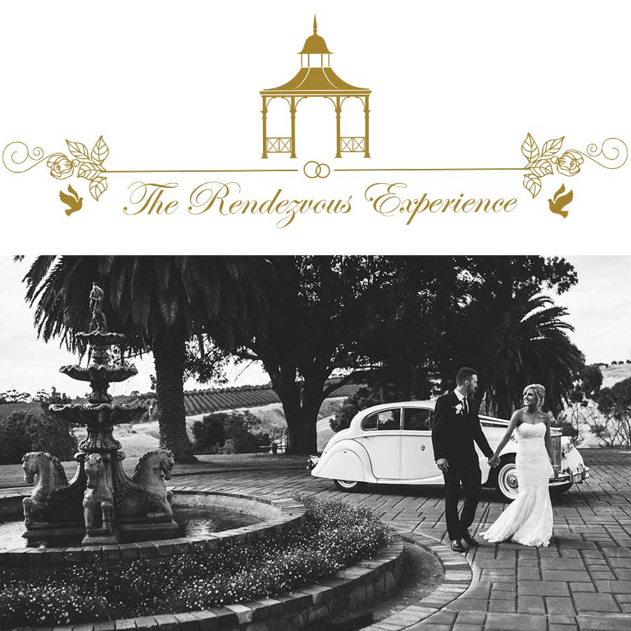 Visual identity development Website design and development